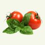Organic Tomato